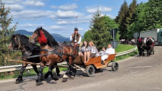 Cai la trăsură și călăreț la nunta lui George și Mădălina Erhan  /Bucovina