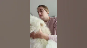 У КАССИ НАШЛИ БЛОХУ В ШЕРСТИ?! 😰