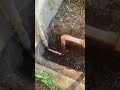 Broken waterline repair Tucson Arizona plumber