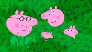 The Very Tricky Hedge Maze  | Peppa Pig Tales Full Episodes