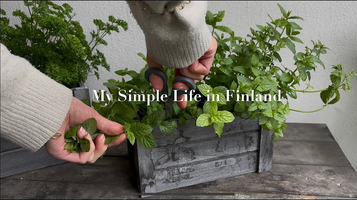 My Simple Life in Finland: Painting, Gardening & Homemade Meals