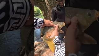 una bonita carpa de río #pescaconanzuelo #capr #pesca #fish
