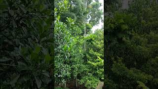 Download Lagu 🌧️☔🌀🌫️Images may be subject to copyrightFor any other purpose please contact - gashiteam4@gmail.com MP3