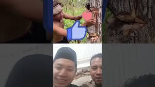 pohon ajaib#shorts#shortvideo #animals#trending