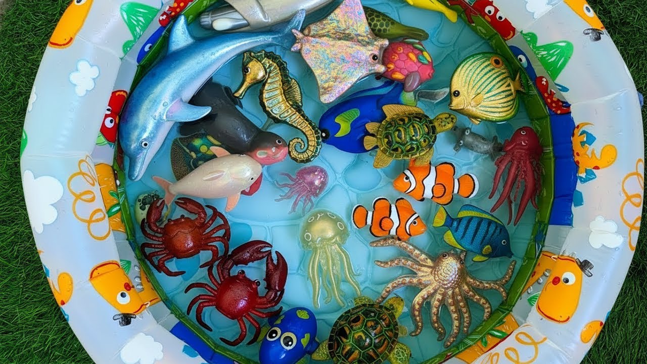 Learn Sea Animal Names and Facts | Best Sea Name Learning for Babies ...