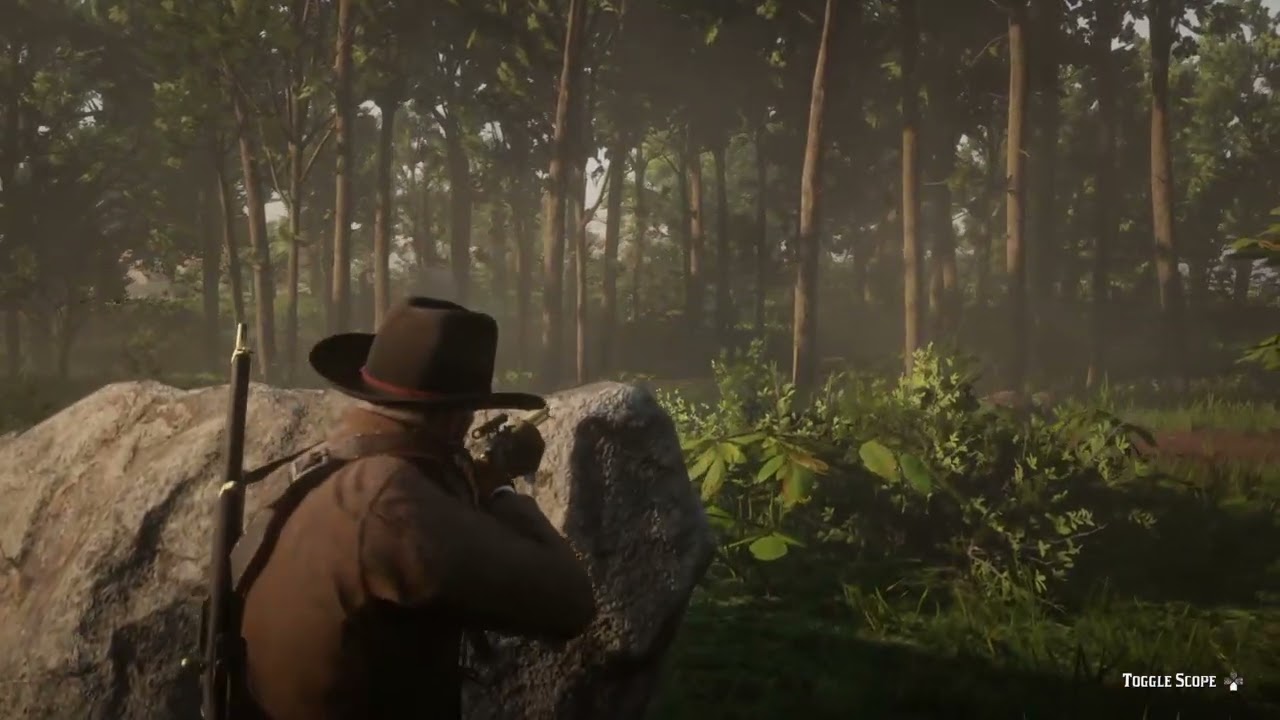 Red Dead Redemption 2 - No HUD + Free Aim = Realistic combat