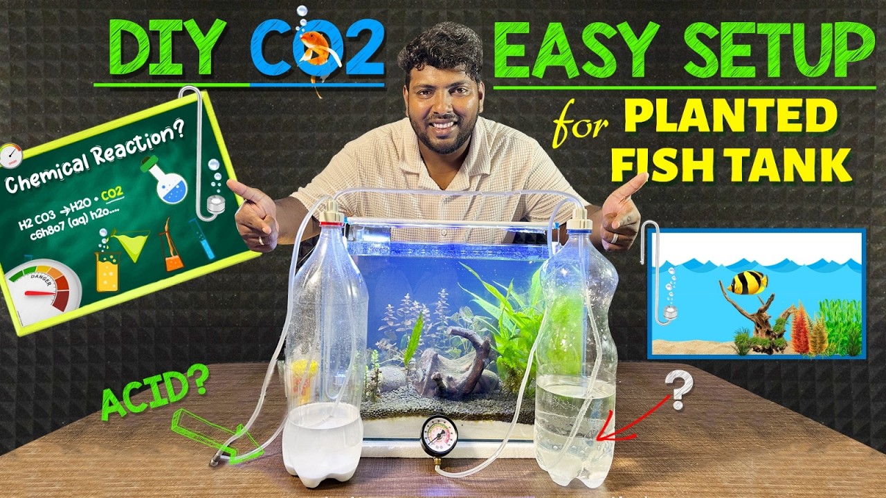 Image showcasing Cheap and Best DIY CO2 for Planted Aquariums | Citric Acid + Baking ...