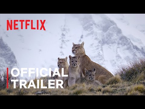 Predators | Official Trailer | Netflix