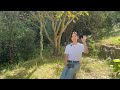 耕さない畑（No Dig）Q&A　よくある疑問をまとめて回答します！