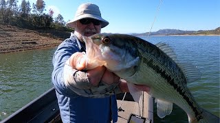 Early Pre-Spawn Bass