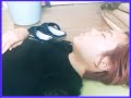 【MV】風のあと/ないものねだりのあてなしブルース