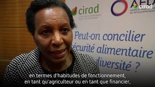 Cyriaque Sendashonga : « La biodiversité est la clé de l’amélioration de l’agriculture »