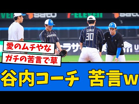 【苦言w】谷内コーチがハム選手に「心配をする暇があったら、自分の心配をして。」【プロ野球反応集】【2chスレ】【5chスレ】