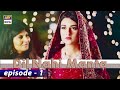 Dil Nahi Manta Episode 1 - Sarah Khan - Amna Ilyas - ARY Digital