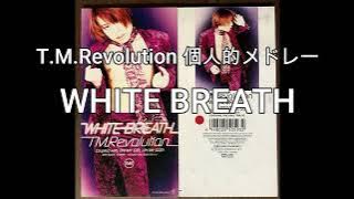 T M Revolution   個人的メドレー