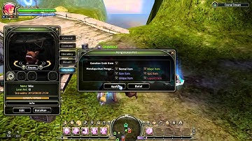 Dragon Nest Disassembler 12 Pcs epic main weapon - MMOID.info