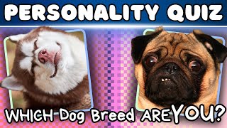 WHICH DOG BREED ARE YOU? || Interactive Personality Quiz