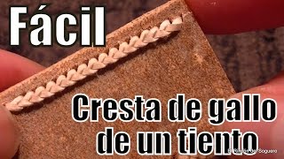 Cresta De Gallo De Un Tiento El Rincón Del Soguero