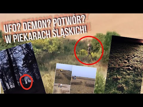 UFO? DEMON? POTWÓR? W PIEKARACH ŚLĄSKICH! Piekary Śląskie kręgi w zborzu!