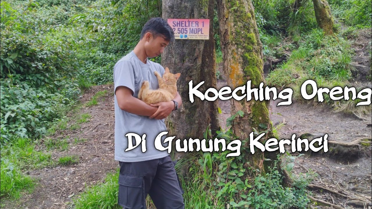 Pendakian Bersama Kucing Oreng - YouTube