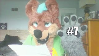 5 Coyote Facts YOU should KNOW! - Yote TV Episode 7 5 Coyote Facts YOU should KNOW! - Yote TV Episode 7