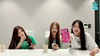 (ENG SUB) 220606 NMIXX SULLYOON, JIWOO & KYUJIN Vlive update "쮸뀨설🐶🐱🐰"