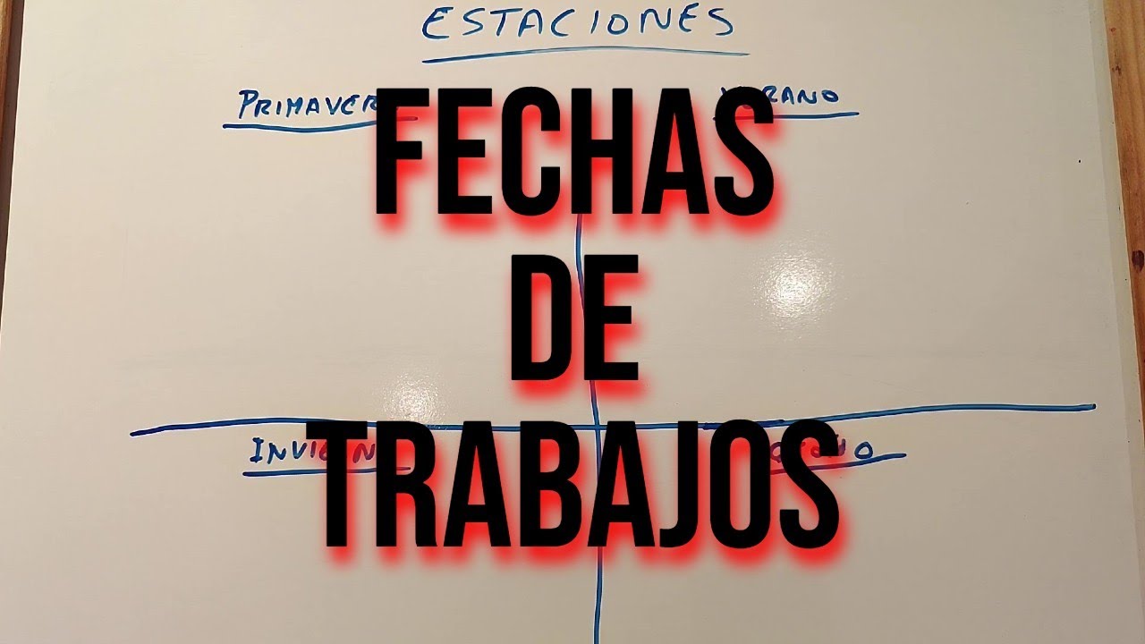 ¿Cuándo Hago los Trabajos en los Acers Palmatums? - BONSAI