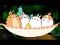 Molang and Piu Piu | The Campers | Funny Animal Cartoon for Kids | HooplaKidz TV