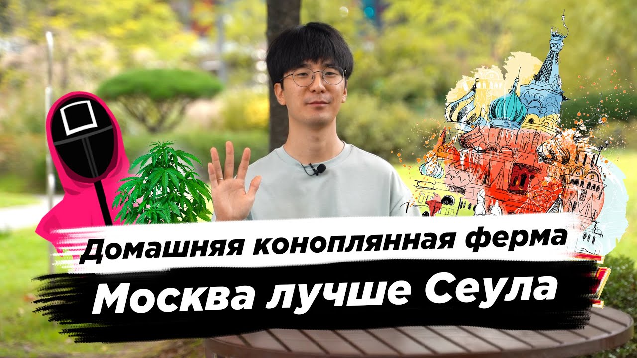 Москва лучше Сеула/Корейский гадкий утенок - Prince Lemon