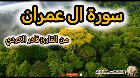 سورة أل عمران كاملة من تلاوة (قادر الكردي) وطبيعة وغابات وسهول وشلالات مع تلاوة القران الكريم