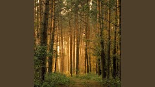 Forest No.1387