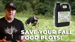 How to SAVE YOUR FALL FOOD PLOTS - with Jeff Sturgis