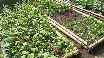 B I O-Input Resource Center 👉