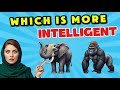 How Good Is Your Knowledge of ANIMALS? 🦁🐘 GUESS Who Is Smarter?