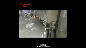 How The Spout Pouch Filling Capping Machine Work For 160ml Yogurt?