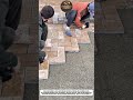 Fast Paver Installation Technique | Perfect Patio Setup Like a Pro