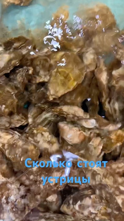 Сколько стоят устрицы в тц «Океания» / не дорого / - YouTube