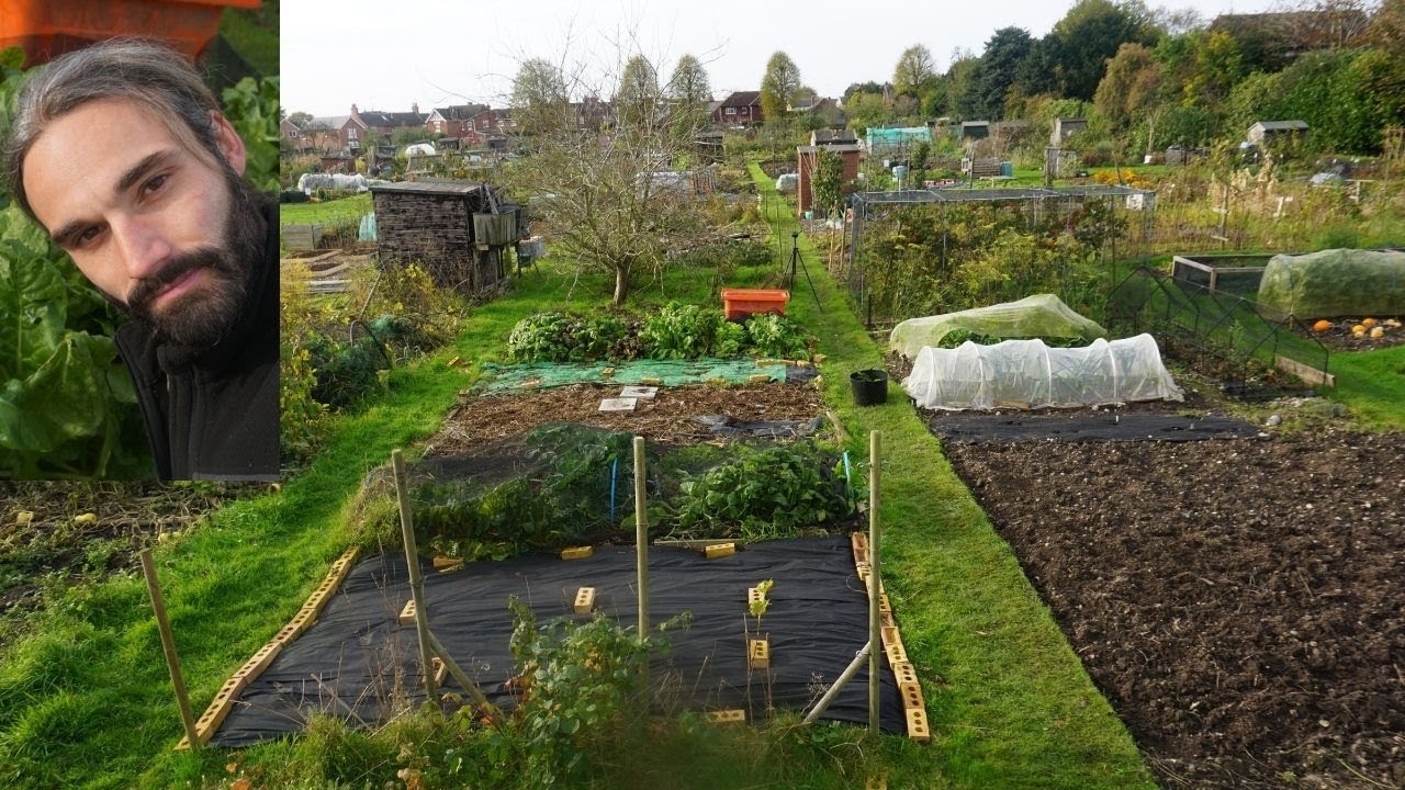 Allotment jobs. Covering, composting, mulching. YouTube