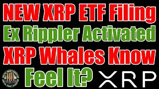 🚨NEW XRP ETF Filing!🚨Ex Rippler Activated & This Has Only Happened Once