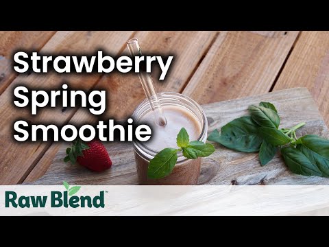 how-to-make-a-smoothie-(strawberry-spring-recipe)-in-a-vitamix-s30-blender