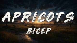 BICEP - Apricots