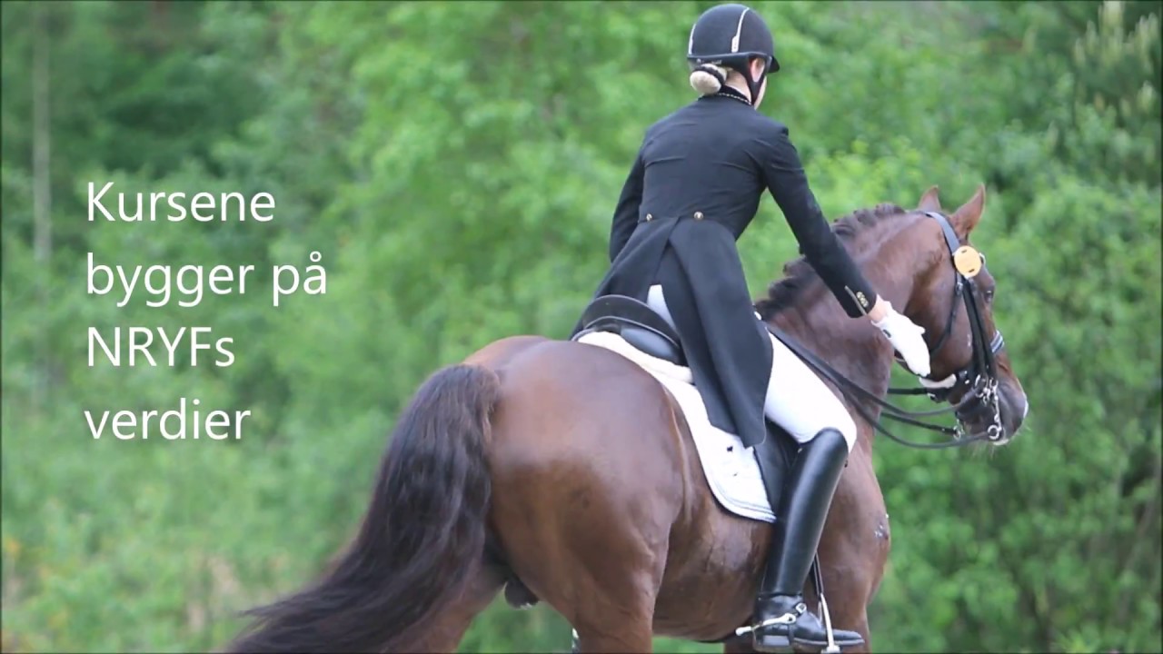Trenerutdanning gjennom Norges Rytterforbund