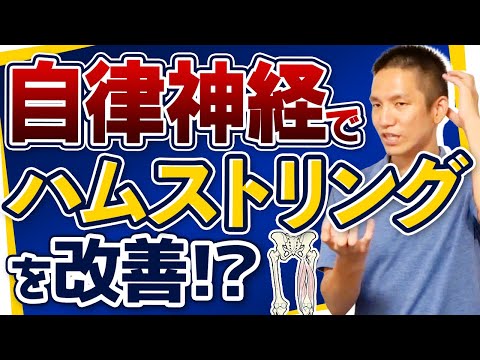 【自律神経に関係している⁉︎】ハムストリングスに対するテクニック