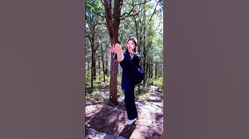 #chenstyletaiji #taichi Uncover the Secrets of Push Hands in My Tai Chi Journey