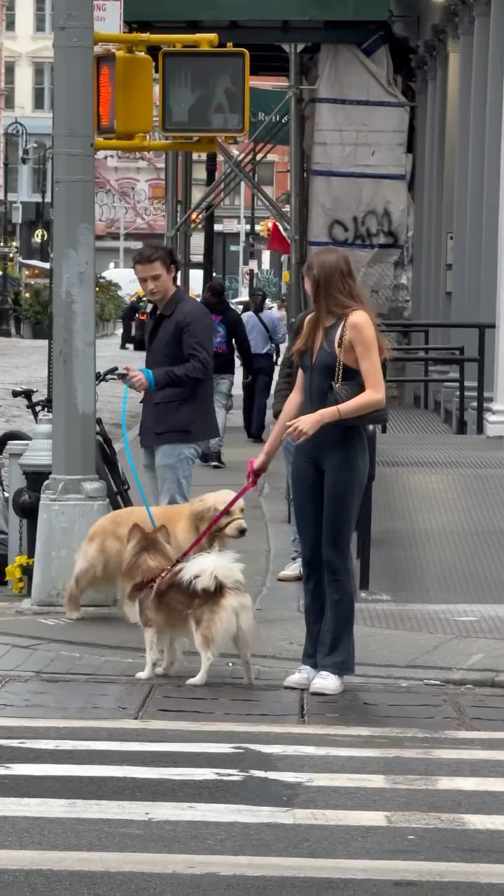 #JasonDeruloTV // Puppy Friends ? #GotPermissionToPost From IG @samanthafrison #TalkDirty