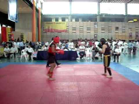 TORNEO CANAL 13 2009 PELEA ESCUELA YING SHEN PELEA...