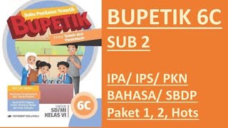 BUPETIK 6C - Sub 2 | IPA/ IPS/ PKN/ BHS/ SBDP/ Paket 1/ 2/ HOTS