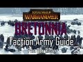 BRETONNIA ARMY GUIDE! Part One: Roster - Total War: Warhammer