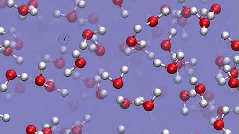 Molecular Dynamics Simulation of Water