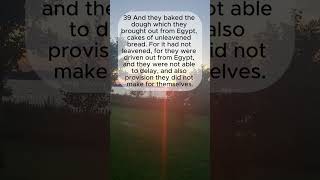Exodus 12:35-41 #biblereading #exodus #bookofexodus #quiettime #coffeeandbibletime